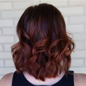 Brownstone balayage haircolor I Redken Canada