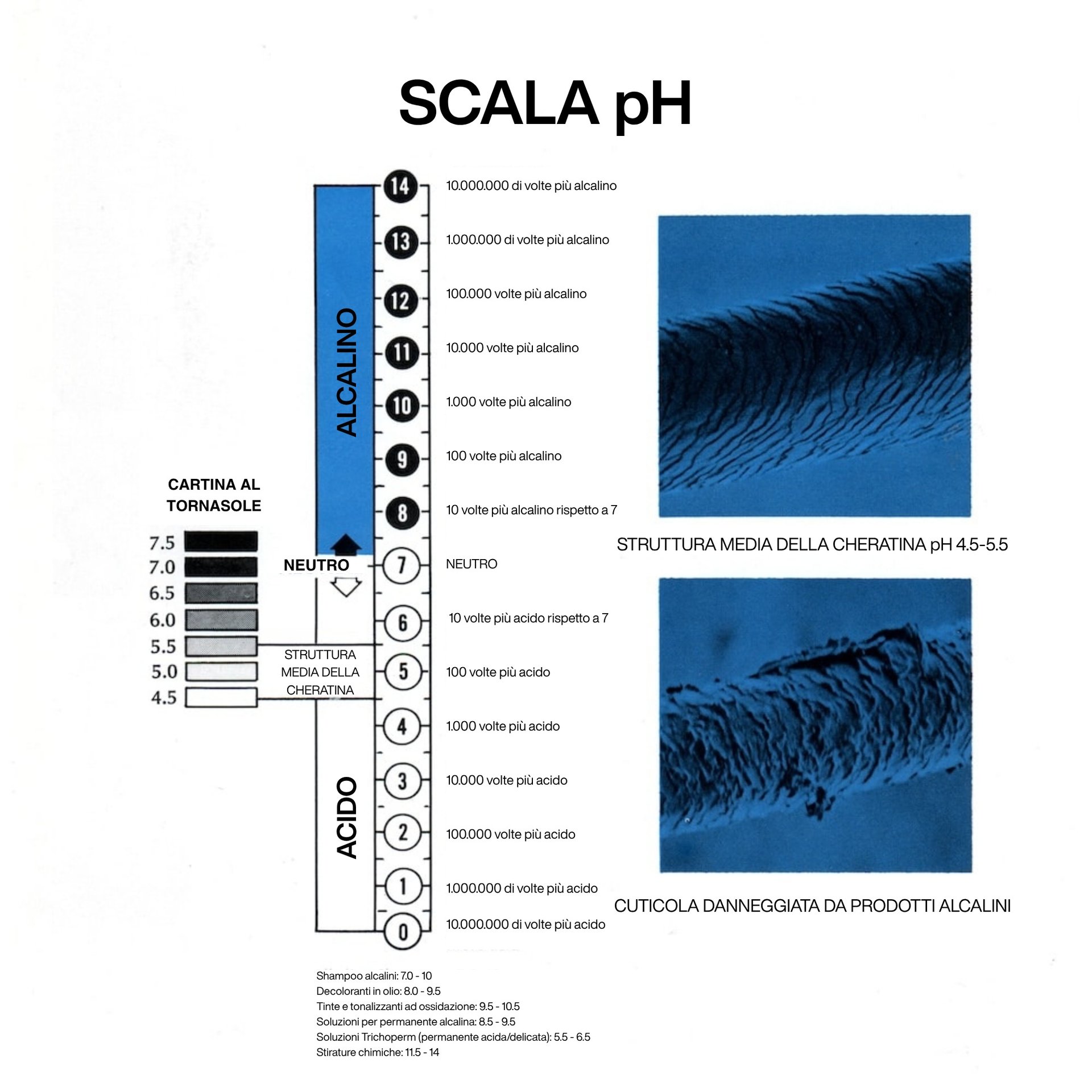 SCALA PH
