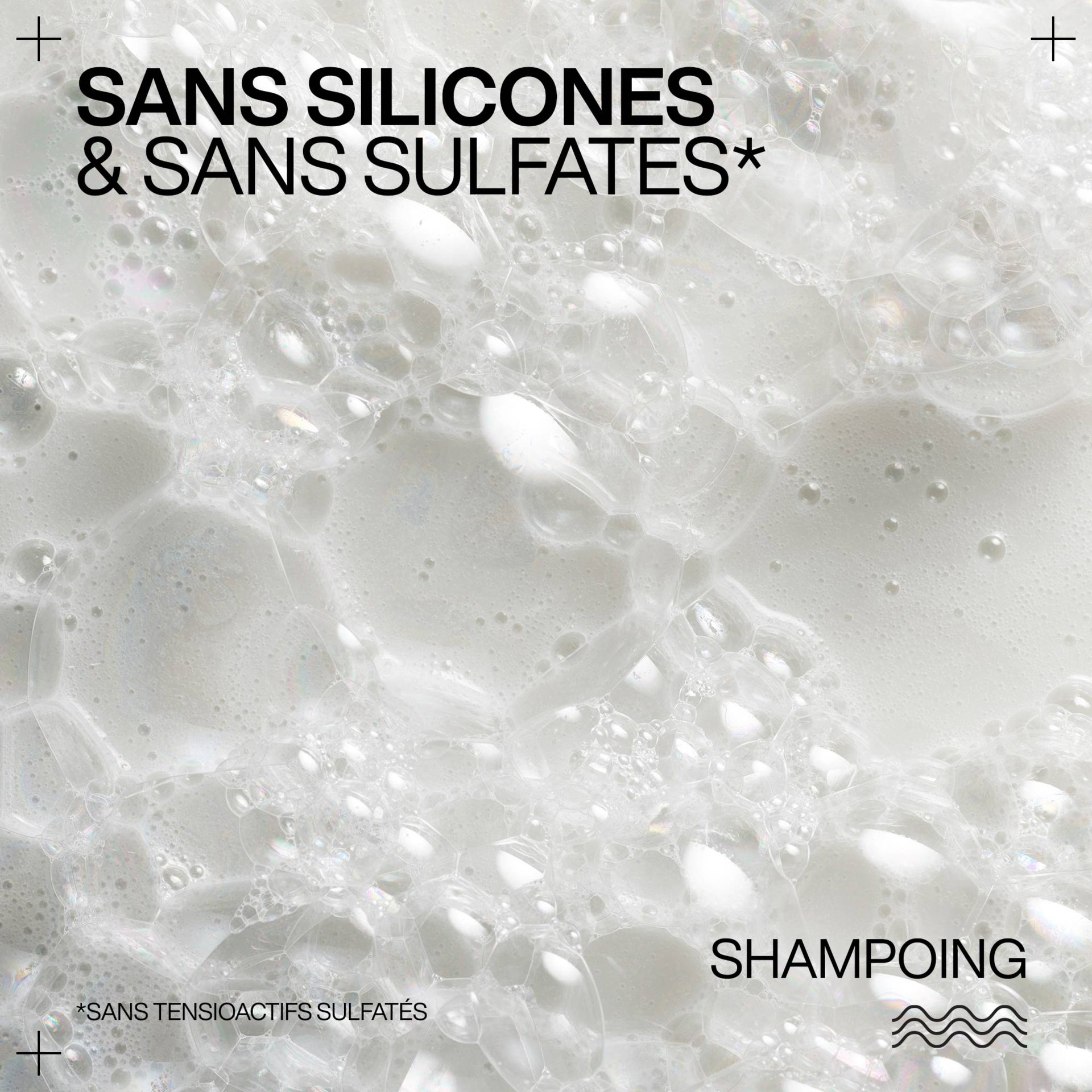 Shampoing3