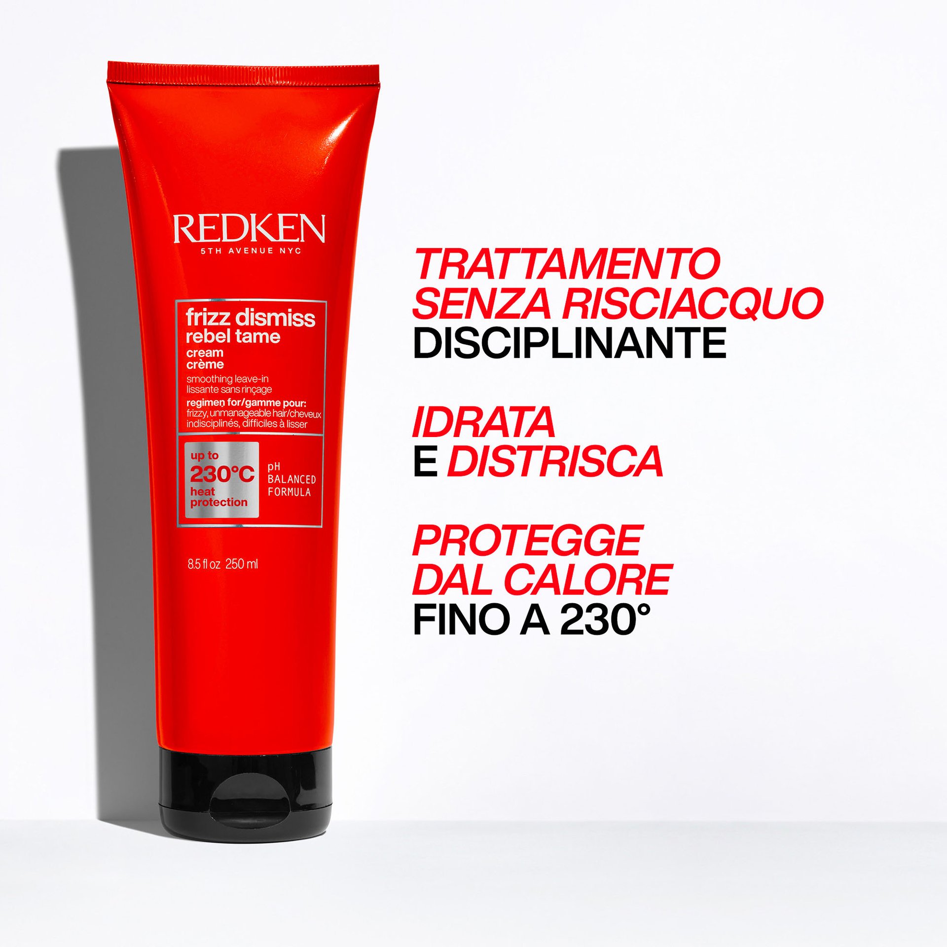 Leave In Frizz Dismiss